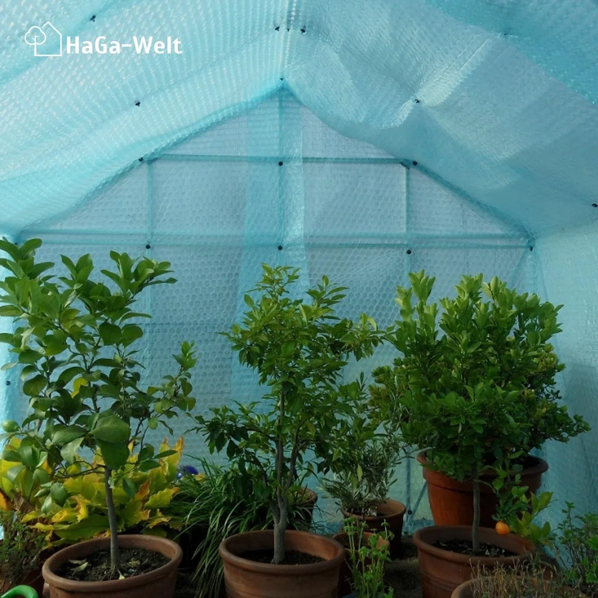 HaGa® Pellicola a bolle d'aria, 1,5 m x 5 m, per serra