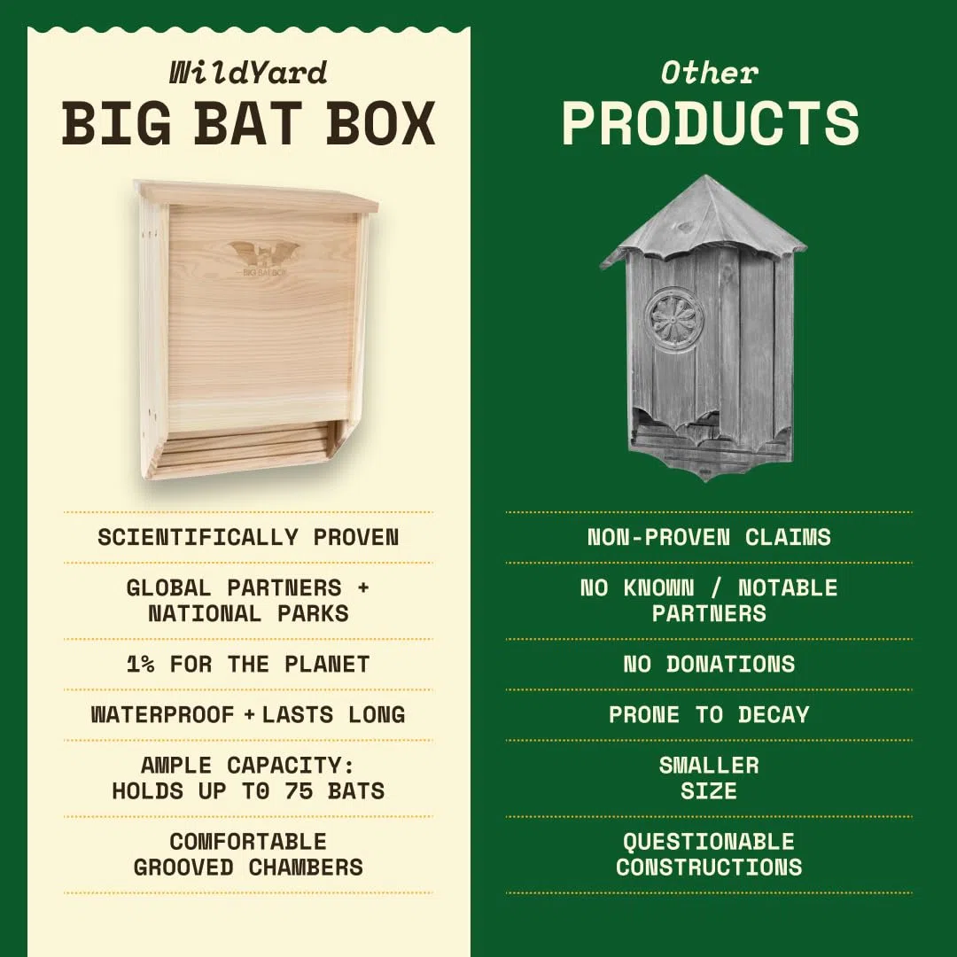 Wildyard Bat House For Outdoors - rifugio per pipistrelli da esterno - Libera il tuo giardino dalle zanzare - Bat Box senza vernice all'interno - Una camera da letto per pipistrelli