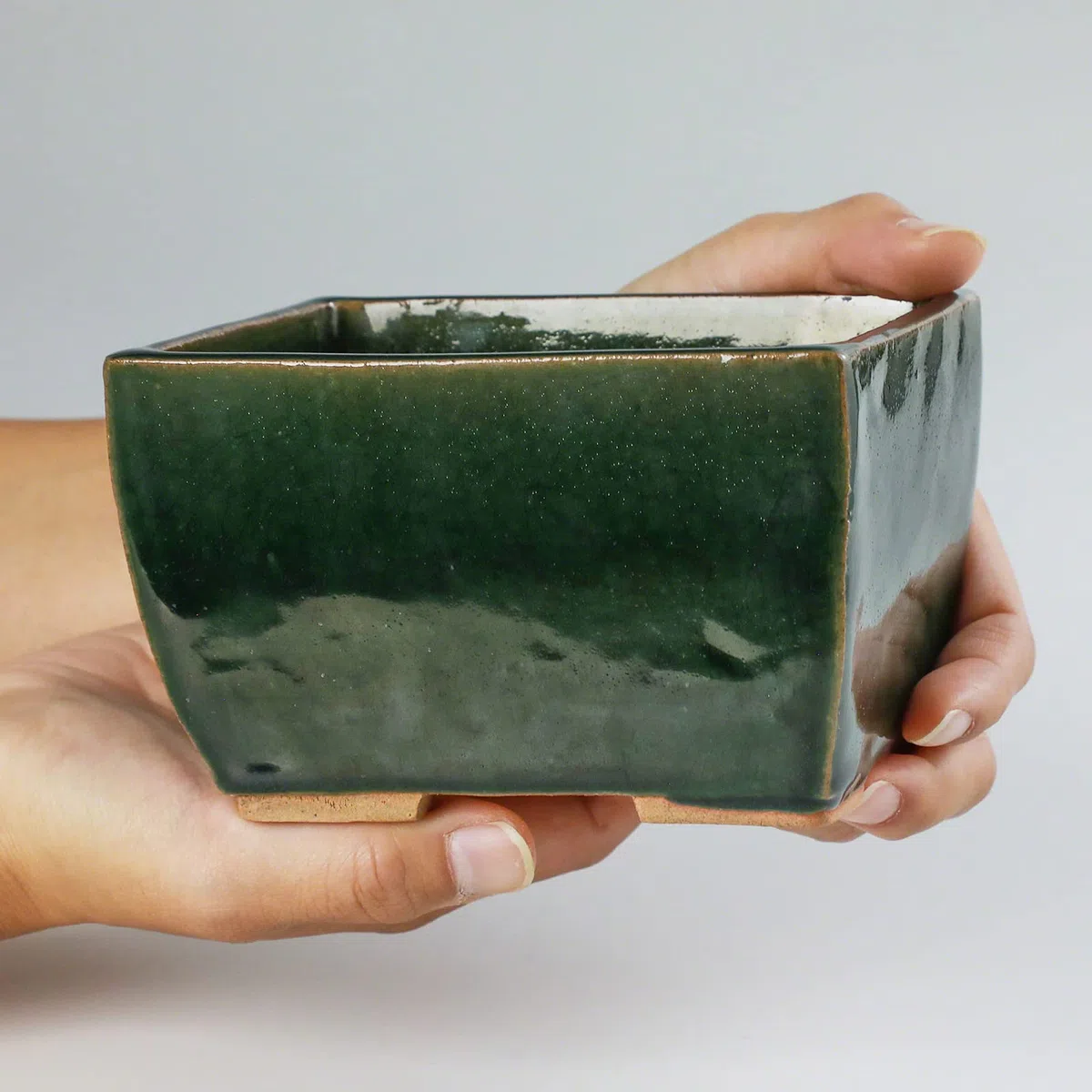 Wazakura Vaso Tokoname per Bonsai 13.5 cm Piccolo Rettangolare Smaltato Verde con Fori di Drenaggio, Realizzato in Giappone, Vasi per Piante in Ceramica per Uso Interno ed Esterno, Fioriera Decorativa