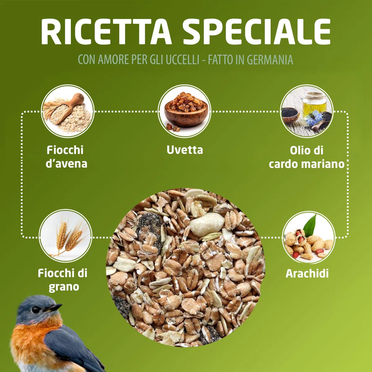 Eggersmann volaris Mangime per uccelli selvatici tutto l'anno 25 kg [Grassi] mangime per uccelli selvatici per tutto l'anno | Mangime ricco di grassi per tutte le specie di uccelli