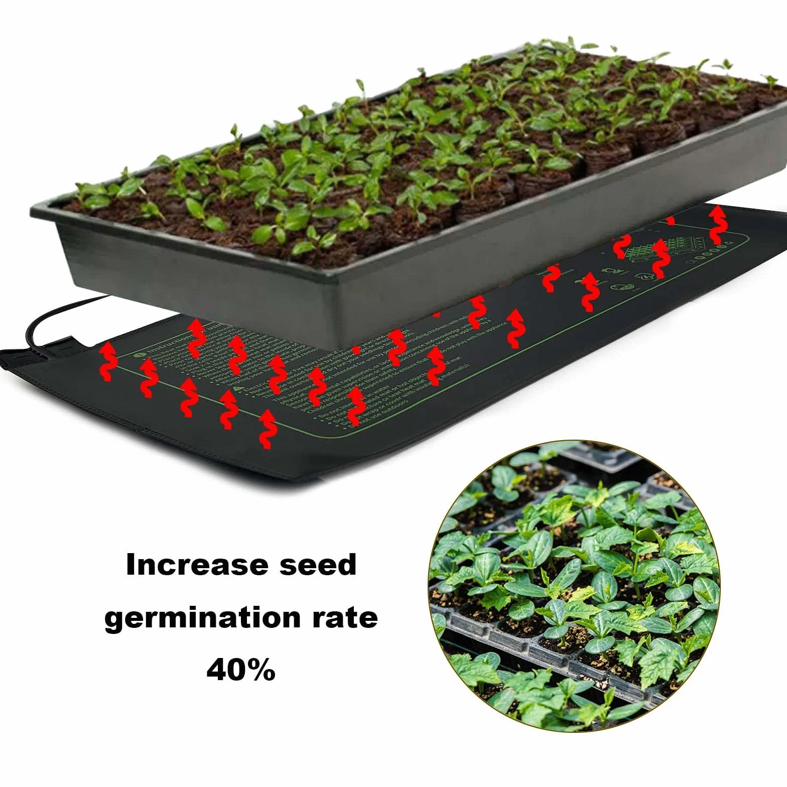 Tappetino riscaldante per Piante in grafene, per piantine germinazione, IP67, Impermeabile, 20 W, Temperatura 20 W, per la Coltivazione di Serra o growbox (53 x 25 cm, con termostato)