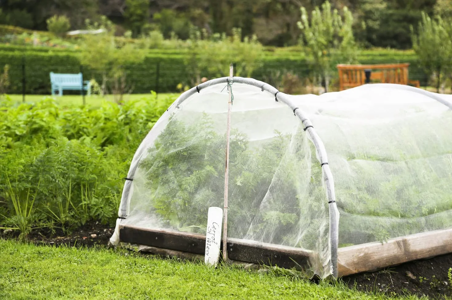 Rete Anti Insetti 3X15m, Antigrandine per Orto, Protezione Piante - Anti Pest Mosquito e Uccelli