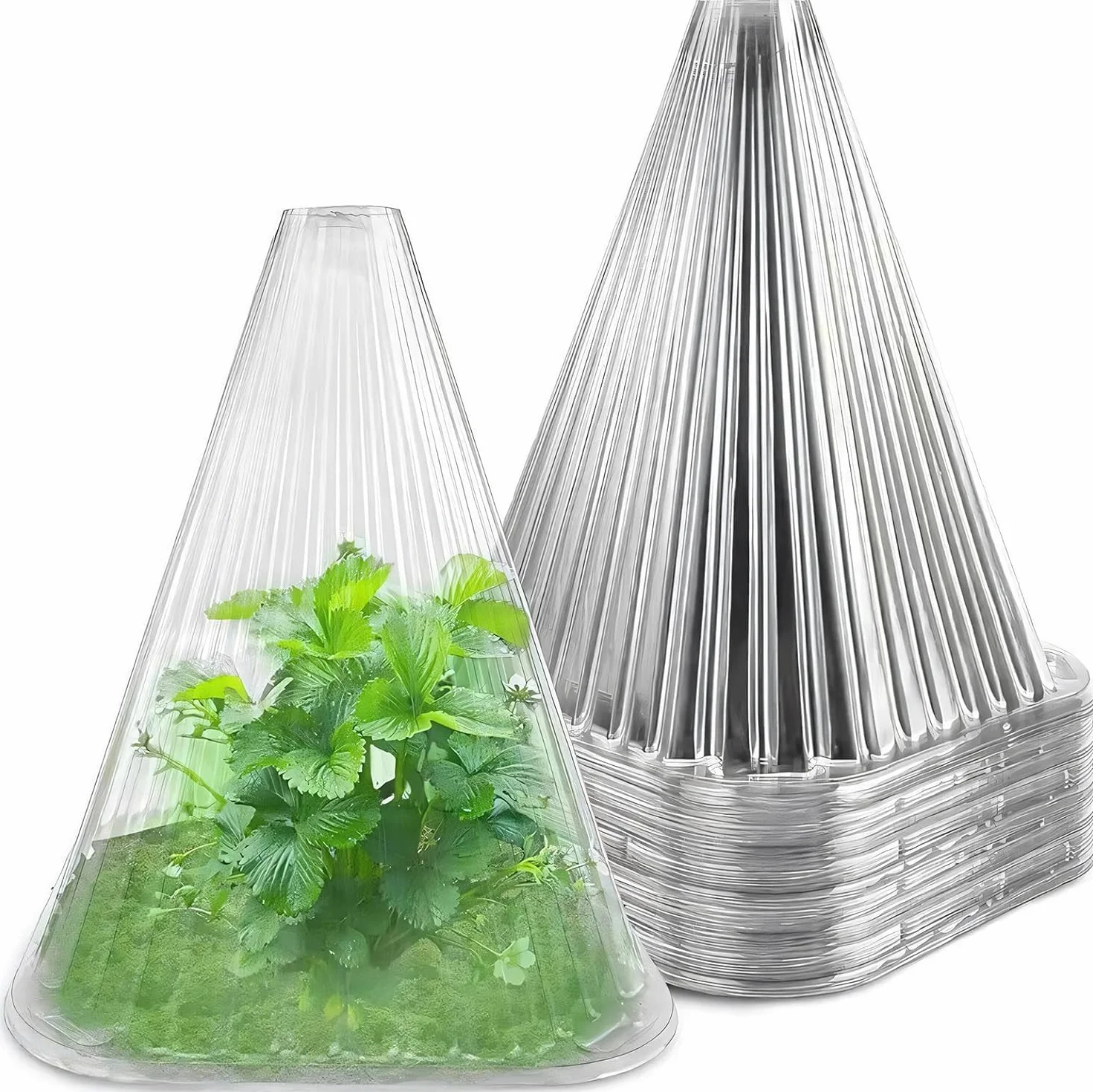 KAHEIGN 20 Pezzi Campane per Piante da Giardino, 22CM x 19CM Copertura per Campana per Piante in Plastica Mini Serra Riutilizzabile per Protezione da Sole Neve Gelo Lumache Uccelli Insetti (Chiaro)