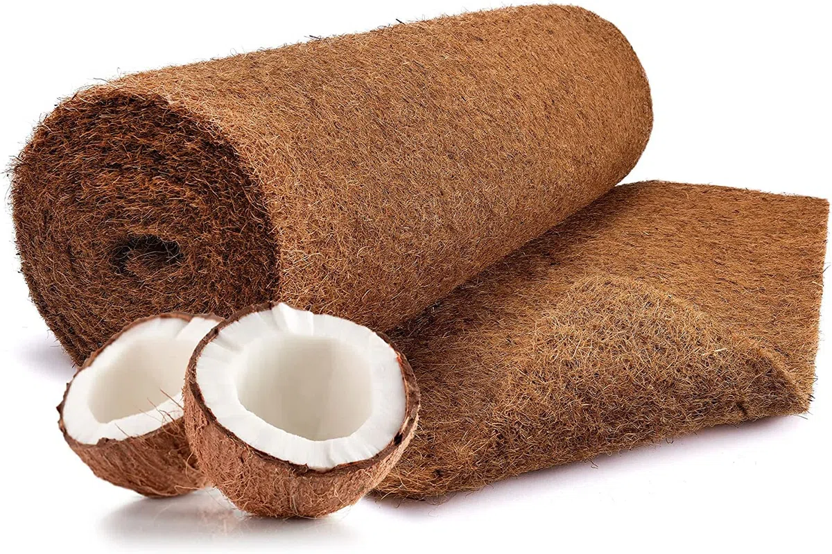 N Nagerteppich.de Tappetino di cocco in 100% fibra di cocco, 75 cm x 5 m, rotolo di tappetino per la coltivazione senza lattice, protezione invernale e contro il freddo per piante, prodotto al metro