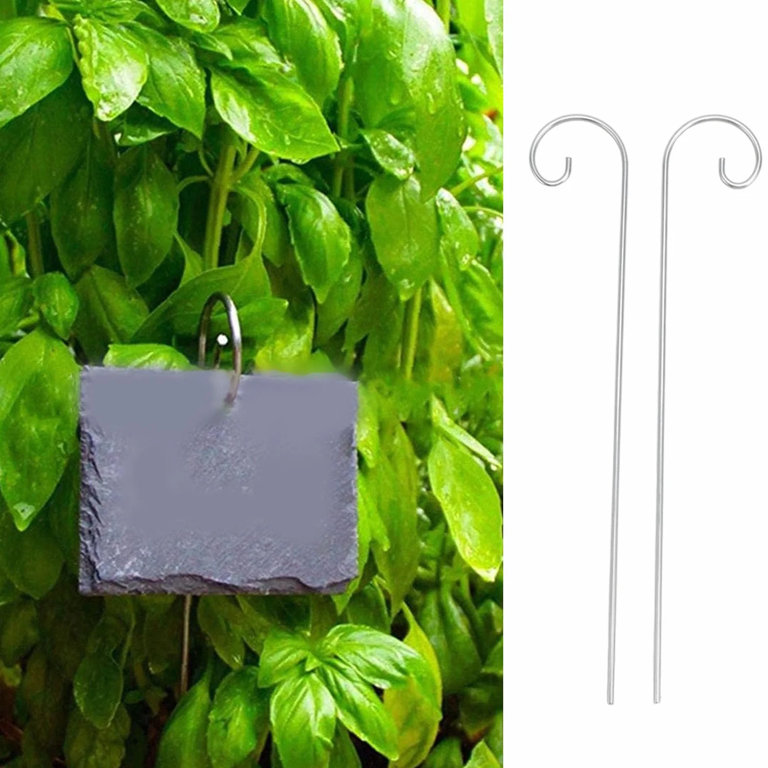 30 Pezzi Ganci per Etichette per Piante, Paletto per Etichette per Piante in Acciaio Inossidabile, Porta Etichette per Piante Appendiabiti per Etichette per Piante Palo per