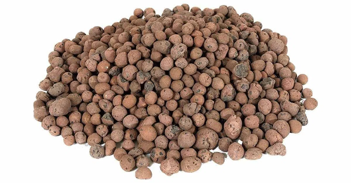 Terflor Argilla ESPANSA LT 50 Misura 8-20 mm Pacciamante per Piante in Vaso Giardino