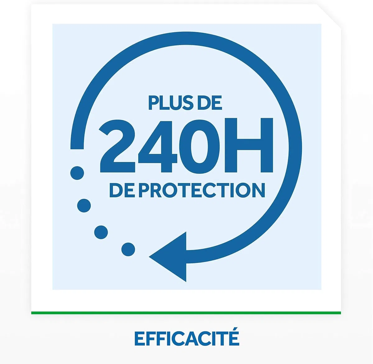 Raid Electrique Night&Day - Ricarica mosche zanzare, tigre, 240 ore, lotto di 3