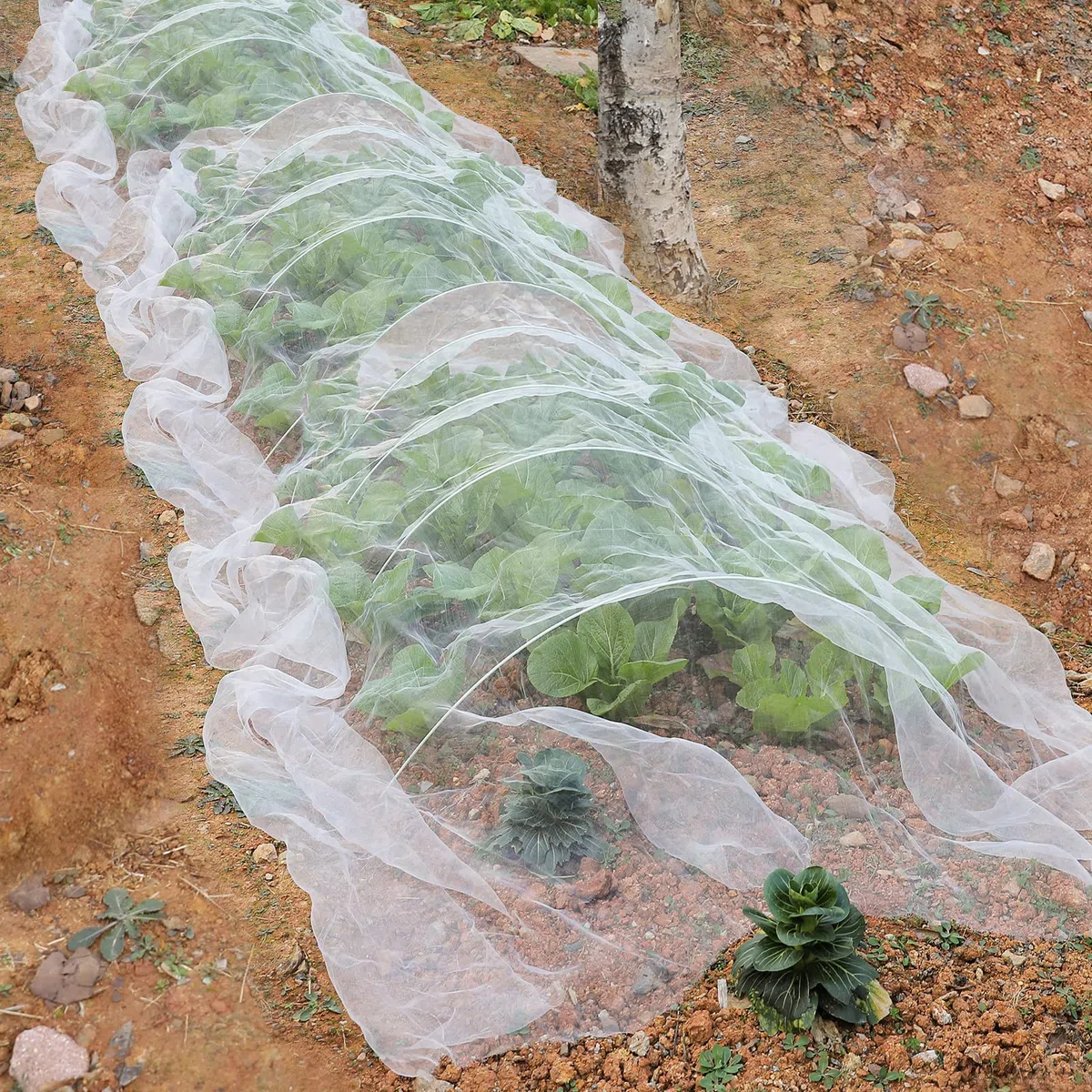 10 x 15 m rete a rete da giardino, per alberi da frutto e piante, per verdure, mirtilli, cespugli di piante, protezione schermo