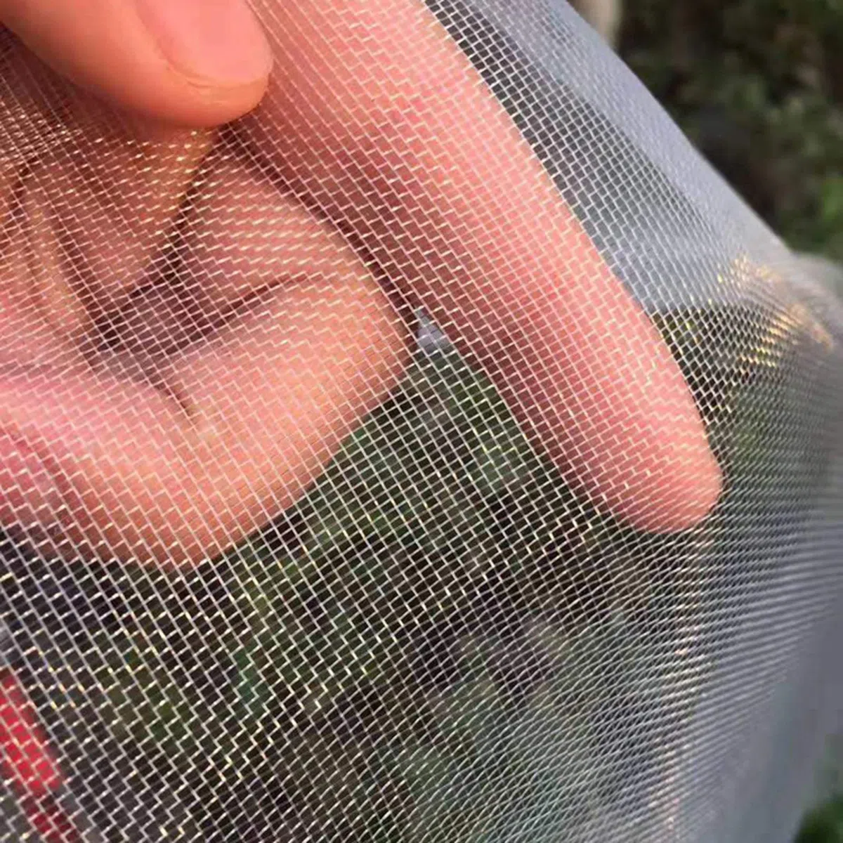 DINGFAN Rete Protettive da Giardino Anti Insetti, Cappuccio Protezione Piante Anti-Bird Net, Insetti Protezione Net Maglia Fine per Serra Piante Fiori, Frutta e Verdura (Size : 5x10m)