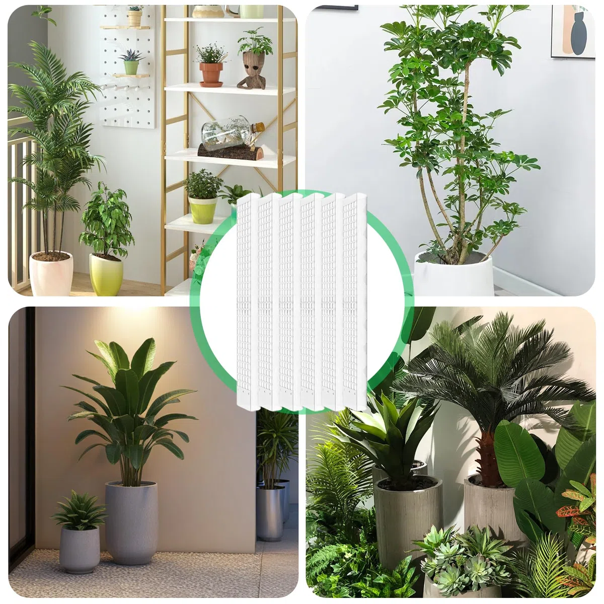 Monstera, 6 pezzi da 61 cm, asta di muschio Monstera, asta per piante da giardino con nastri per piante e , asta per muschio per Monstera, Moss Pole per piante rampicanti da appartamento