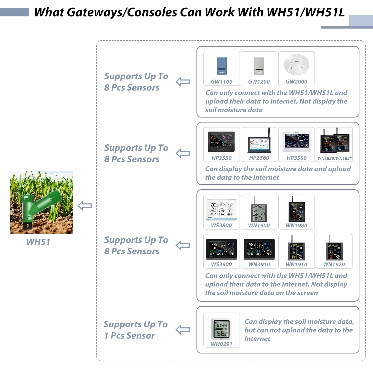 ECOWITT GW1206, Sensore di umidità del Suolo Senza Fili WH51, Tester igrometrico del Suolo vegetale + Gateway IOT Wi-Fi 3 in 1 GW1200