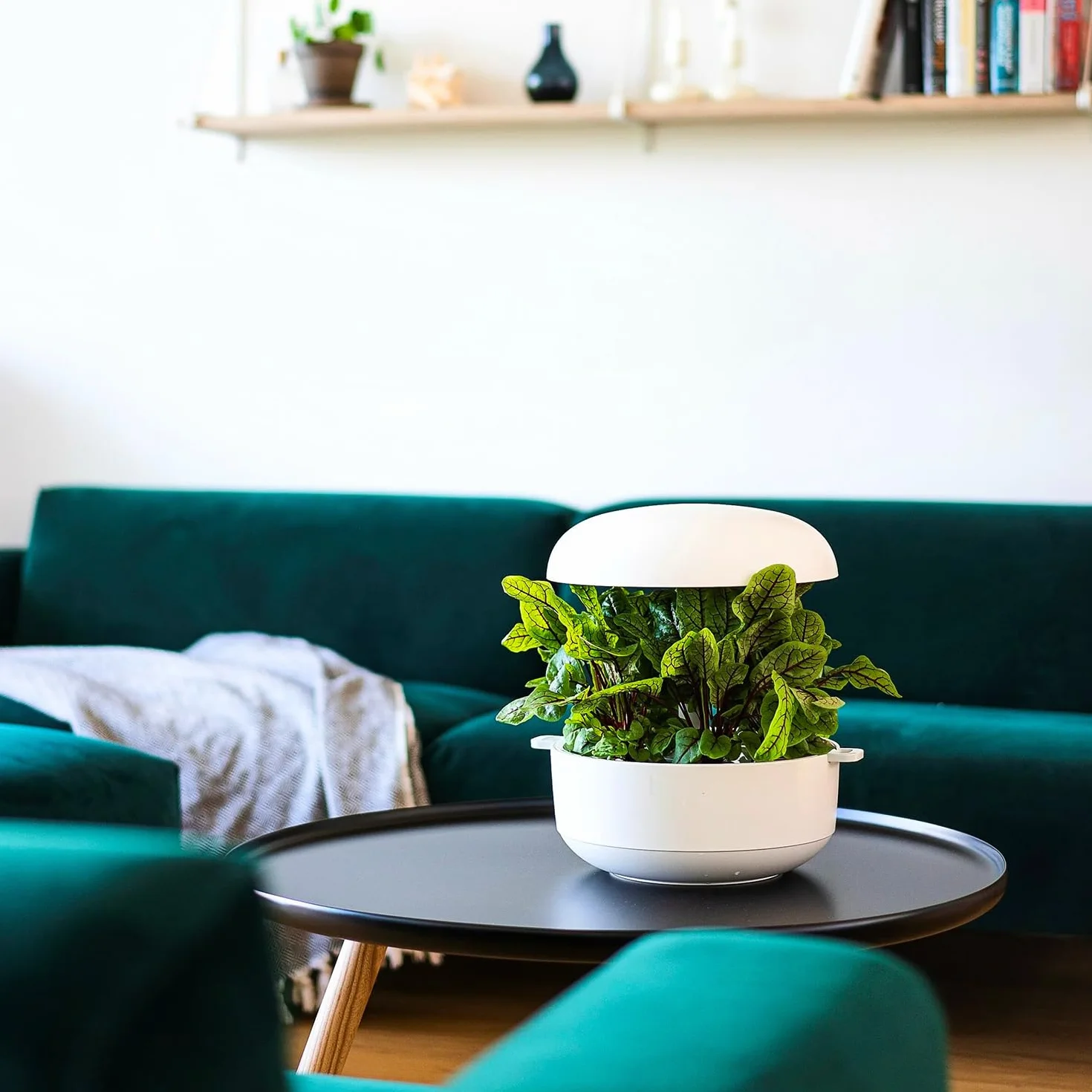 Ricariche compatibili con Plantui smart garden per la coltivazione indoor idroponica, universali senza semi, 9 pezzi