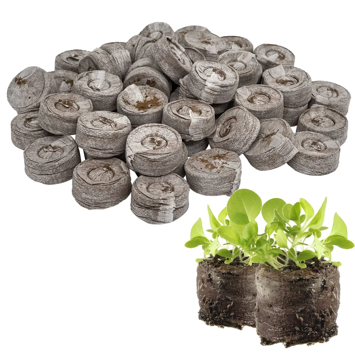 50 Pezzi Pellet di Torba, Dischetti di Torba per Germinazione,Tappi di partenza per Semi di Torba, Miscela di Semi per Interni per la Coltivazione di Erbe