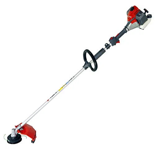EFCO DECESPUGLIATORE DS 3000SEFCO