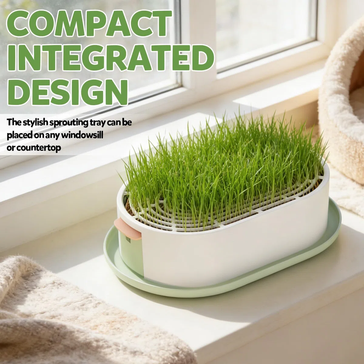 Fioriera idroponica in ABS per erba gatta con vassoio di germinazione, vaso per erba gatta per sistema di giardinaggio indoor, vaso per coltivazione di erba gatta senza suolo per il