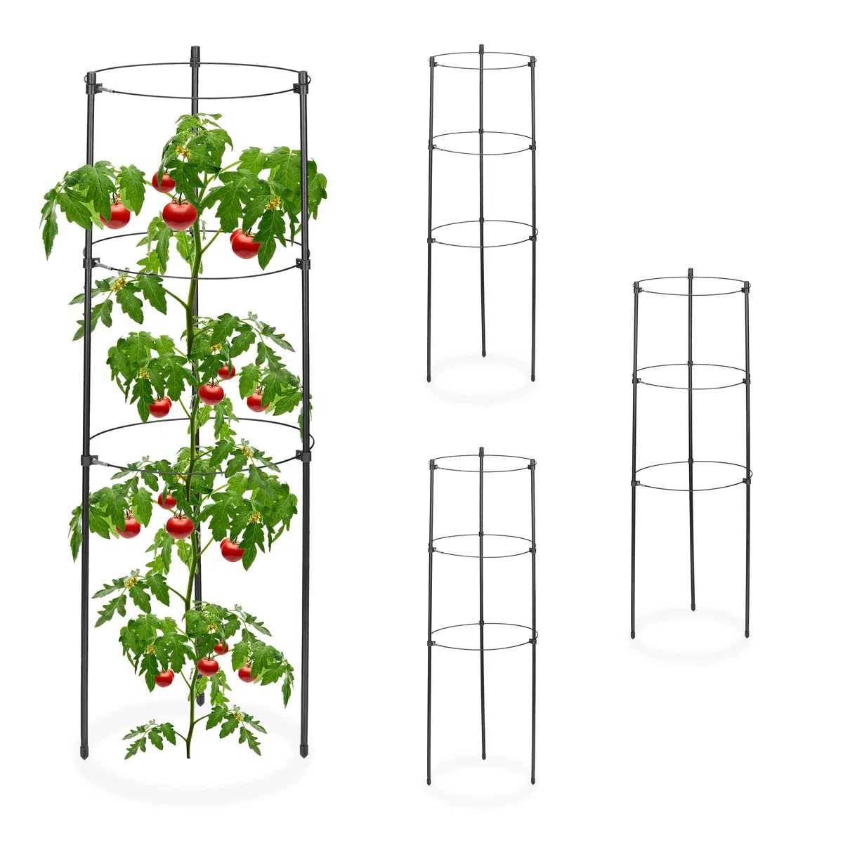 Relaxdays Set da 4 Sostegni Circolari per Pomodori, Piante Rampicanti, Cetrioli, Alti 60 cm, 3 Anelli, Metallo, Nero