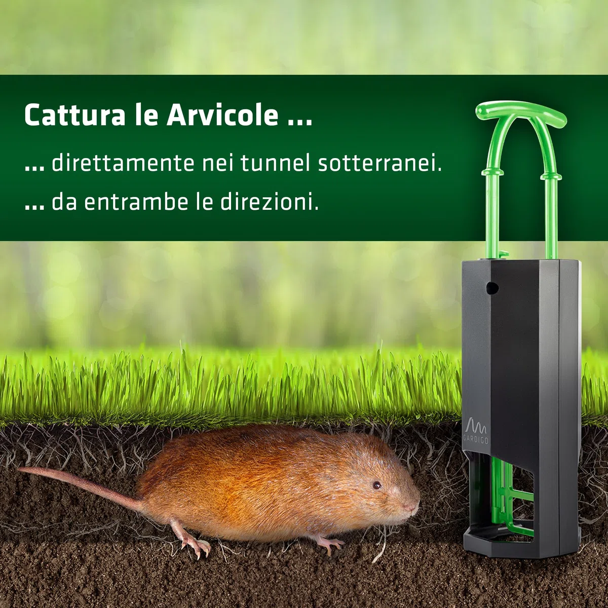 GARDIGO® Trappola per Talpe e Arvicole | Anti Talpe Giardino | Acchiappa la Talpa da 2 Direzioni | Riutilizzabile, Successo Cattura Visibile | Trappola Arvicole | Scaccia Talpa