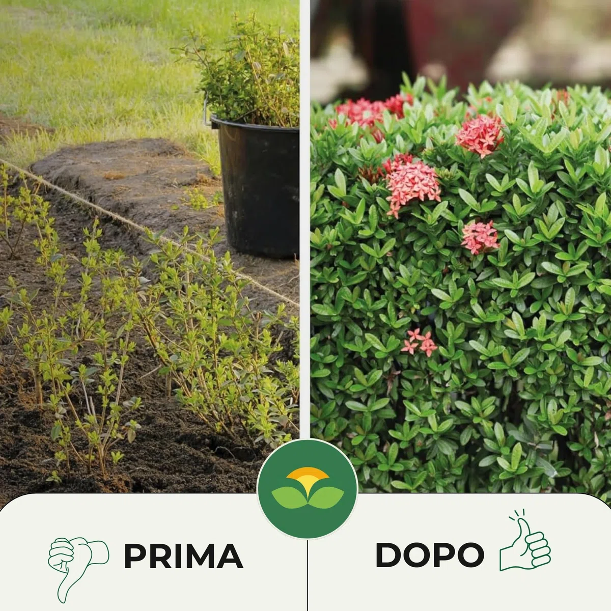 Albagarden - Concime Piante Universale Granulare - MAXI 5 KG - Fertilizzante Con L'aggiunta Di Calcio E Magnesio Per Giardino, Orto e tutti tipi di Piante