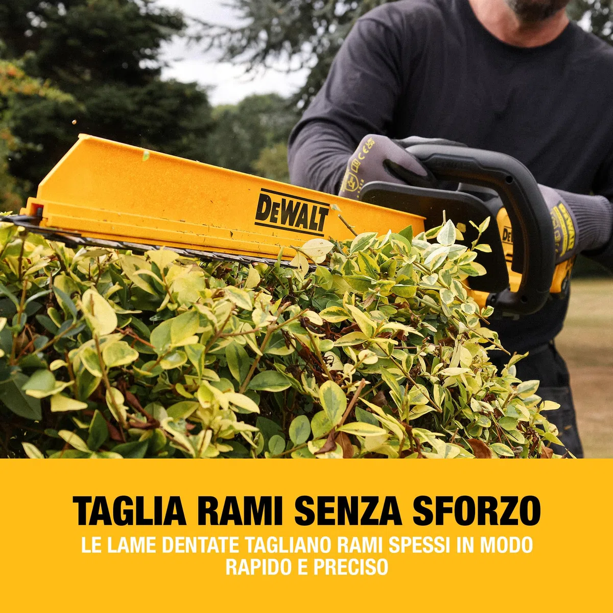 DEWALT Tagliasiepi senza spazzole da 18 V XR 60 cm, Solo utensile, DCMHT567N-XJ