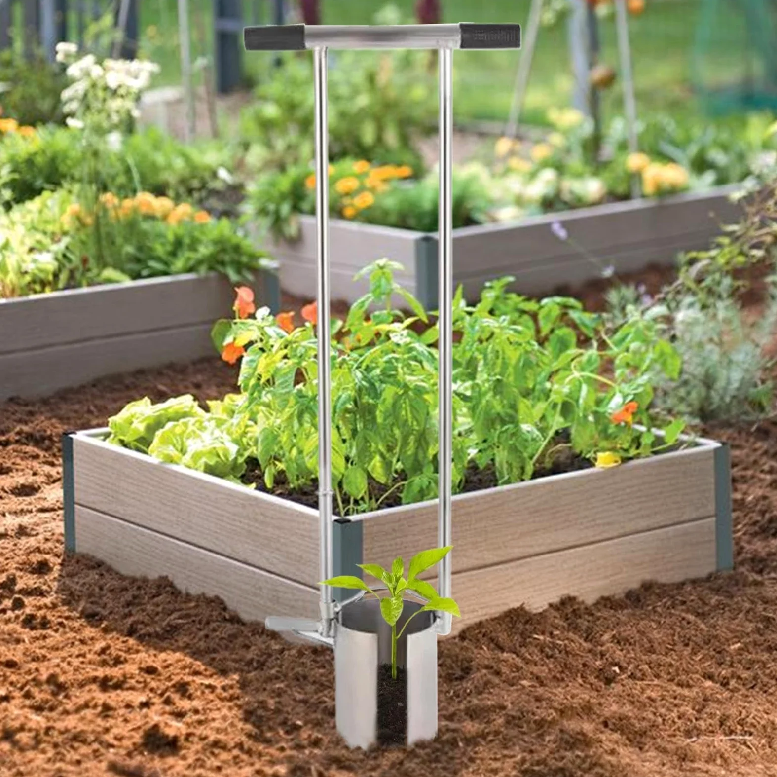 Piantatrice manuale a manico lungo | Attrezzo da giardino per bulbi di | fiori, aglio, cipolle | Trapiantatore ergonomico di bulbi da giardinaggio | Piantagione facile e