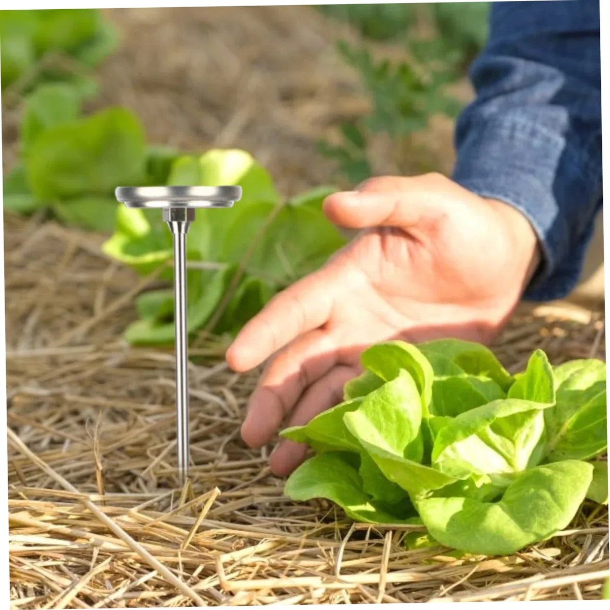 Termometro per compost portatile, quadrante da 2 pollici in acciaio inossidabile con stelo da 20 pollici per terriccio Termometro per terreno da giardino per compost per giardinaggio