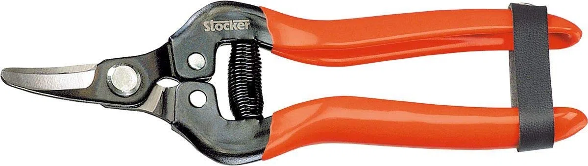 STOCKER Forbice agrumi a Lama Curva 16,5 cm