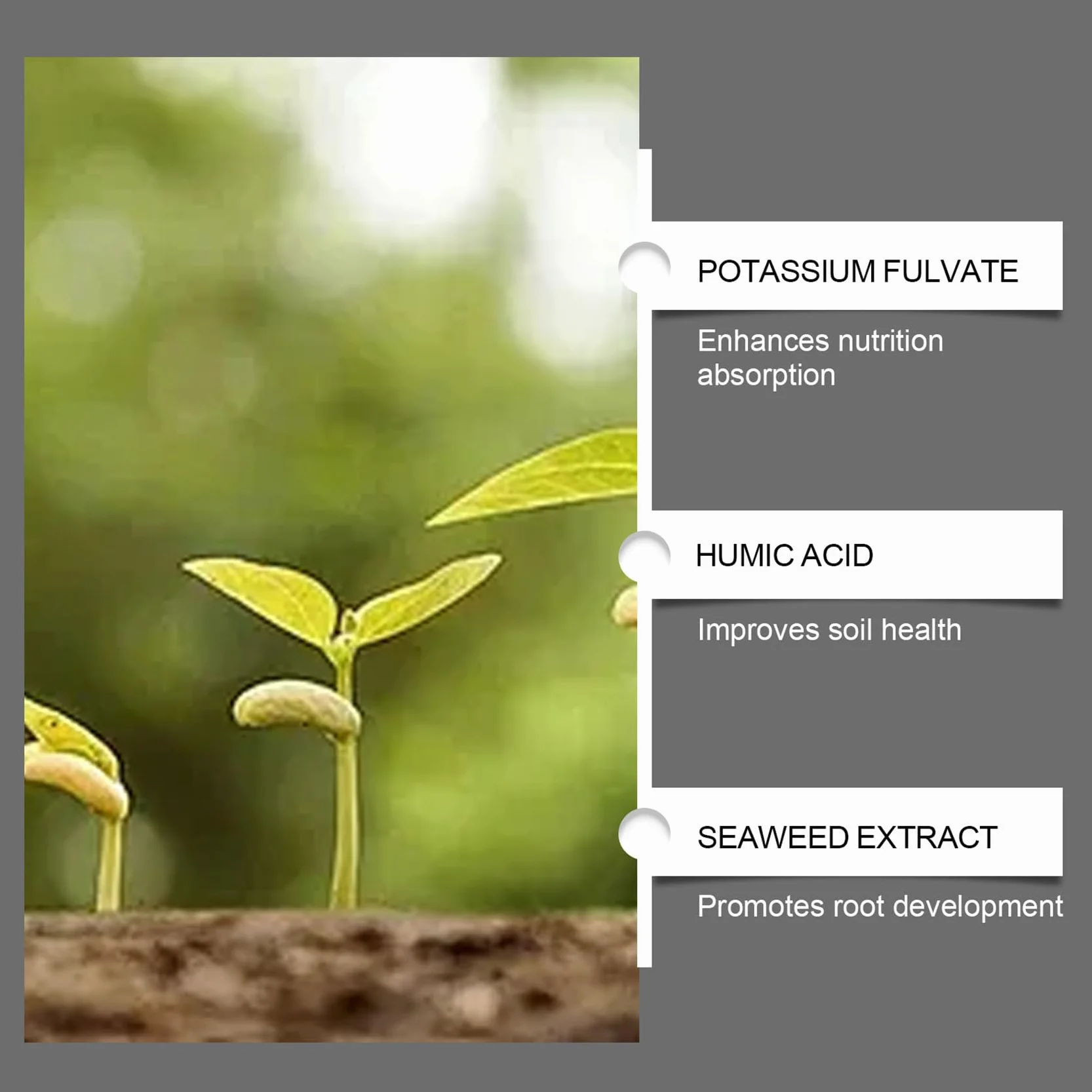 Soil Pro Activator, Water Soluble Formula for Vegetables, Flowers, Houseplants, Indoor and Outdoor Plant Care (1pcs)