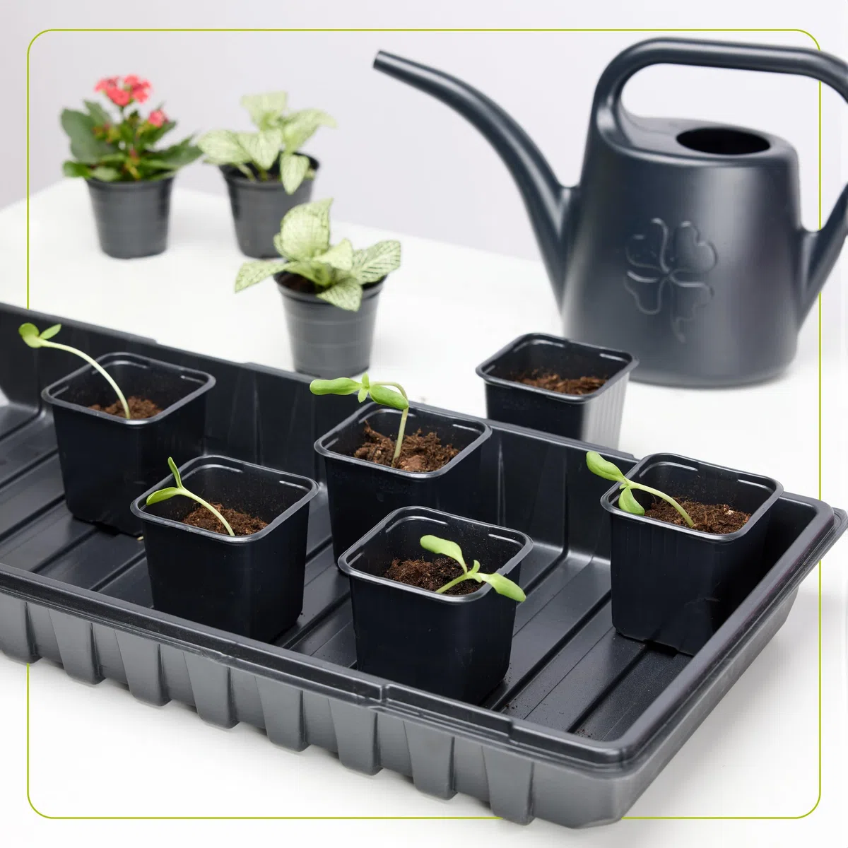 Garronda Vassoi Semenzaio Germinazione Vassoio di Coltivazione Vassoio per Piante Serra Piastra di Coltivazione Vassoio di Germinazione GD-0065 (60x30 cm; Nero; 1 Pezzo)