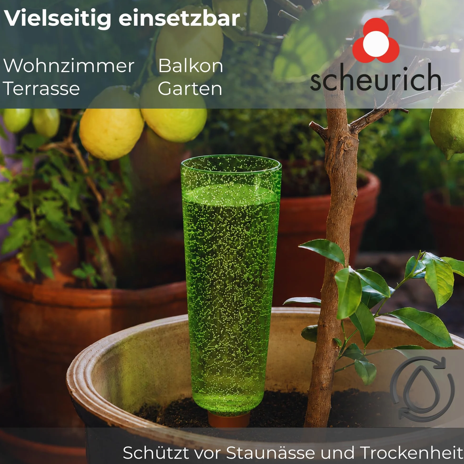 Scheurich COPA XXL irrigazione acqua Dispenser irrigazione sfera verde trasparente