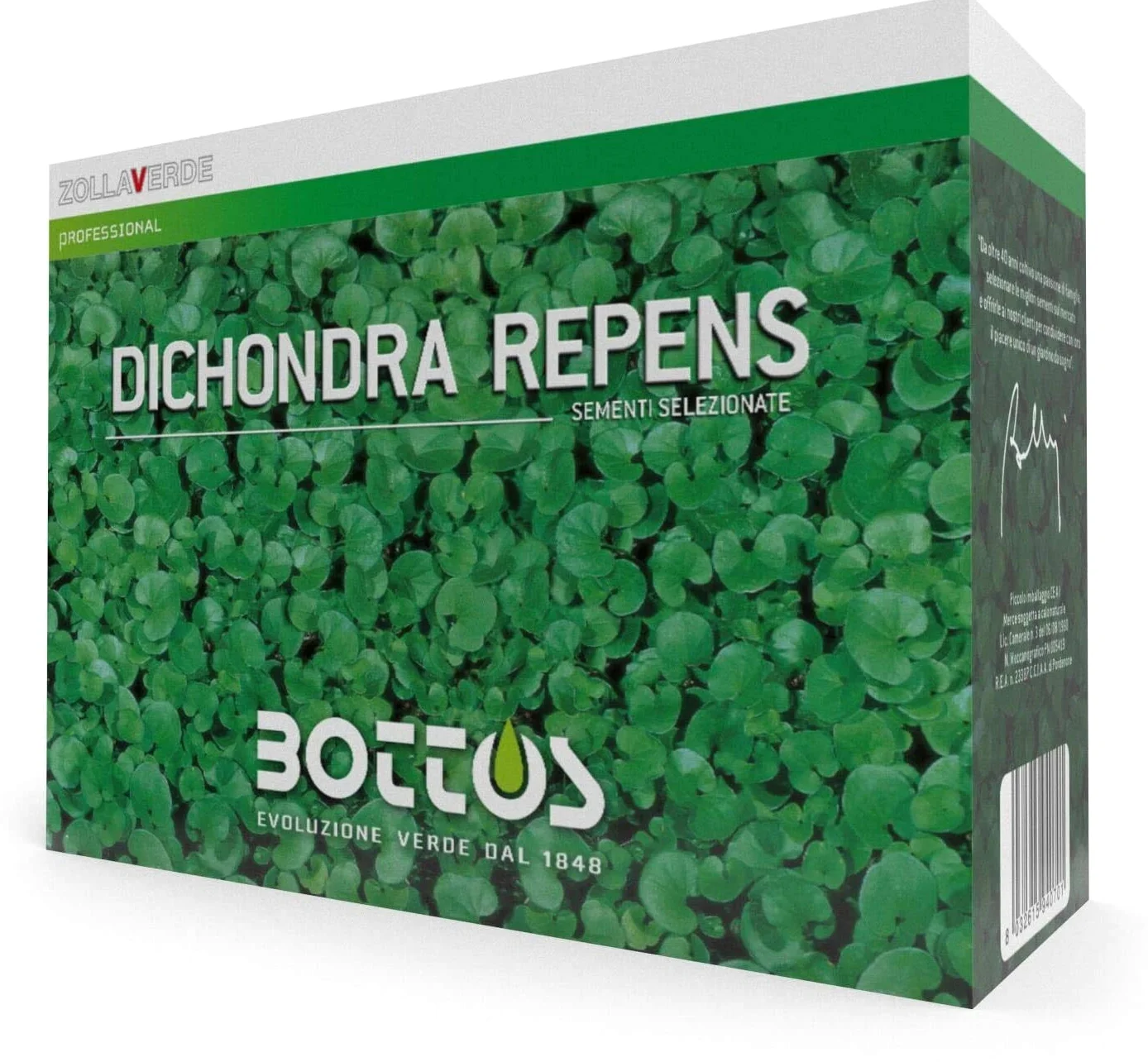 Bottos DICONDRA REPENS, Semi di Dichondra, Tappeto Erboso a Bassa Manutenzione, Alta Densità, Ideale per Giardini e Parchi, Dosaggio 10-20 g/m², 1Kg
