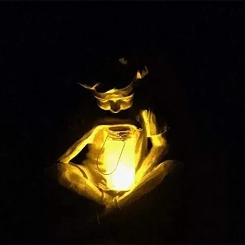 Ornamenti da Giardino Statue Creative Statue Solar Prato for Park Park Courtyard Luci LED Decorazione del Giardino (2 PCS)