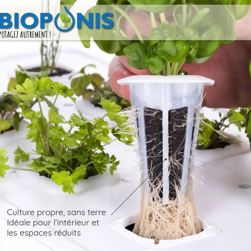 Eden Nero - Orto da Interno Idroponica per Piante aromatiche - 5 Posizioni di Coltivazione