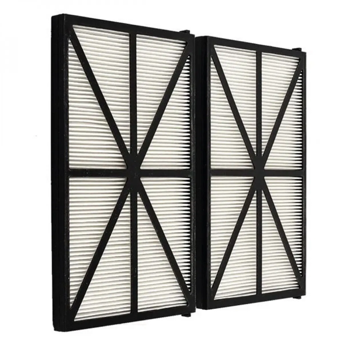 Hayward RCX70101PAK2 Tiger Shark - Set di 2 cartucce di Ricambio per Filtro
