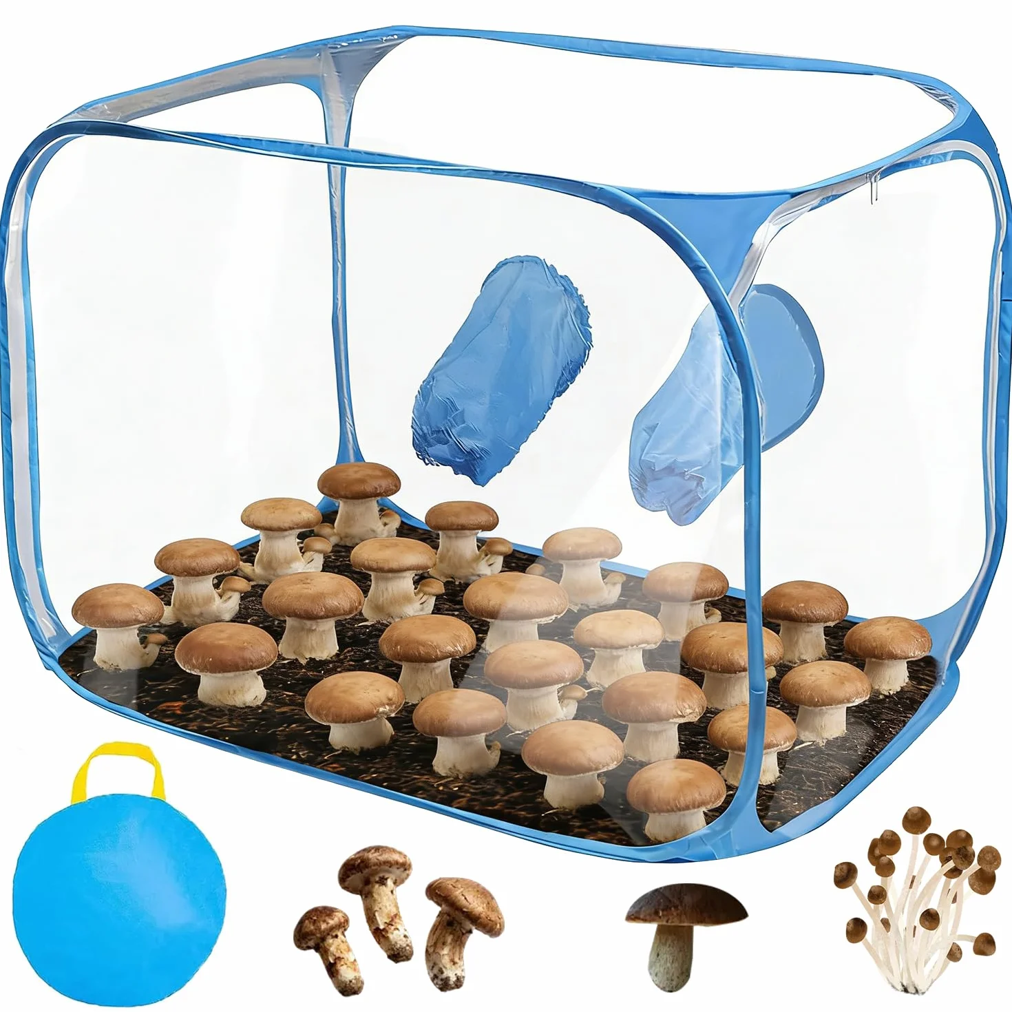 Funghi Allevamento Growtend, Tenda portatile e pieghevole Grow con due palmi per la coltivazione di funghi come Enoki funghi, funghi medicinali, funghi in generale(blu)