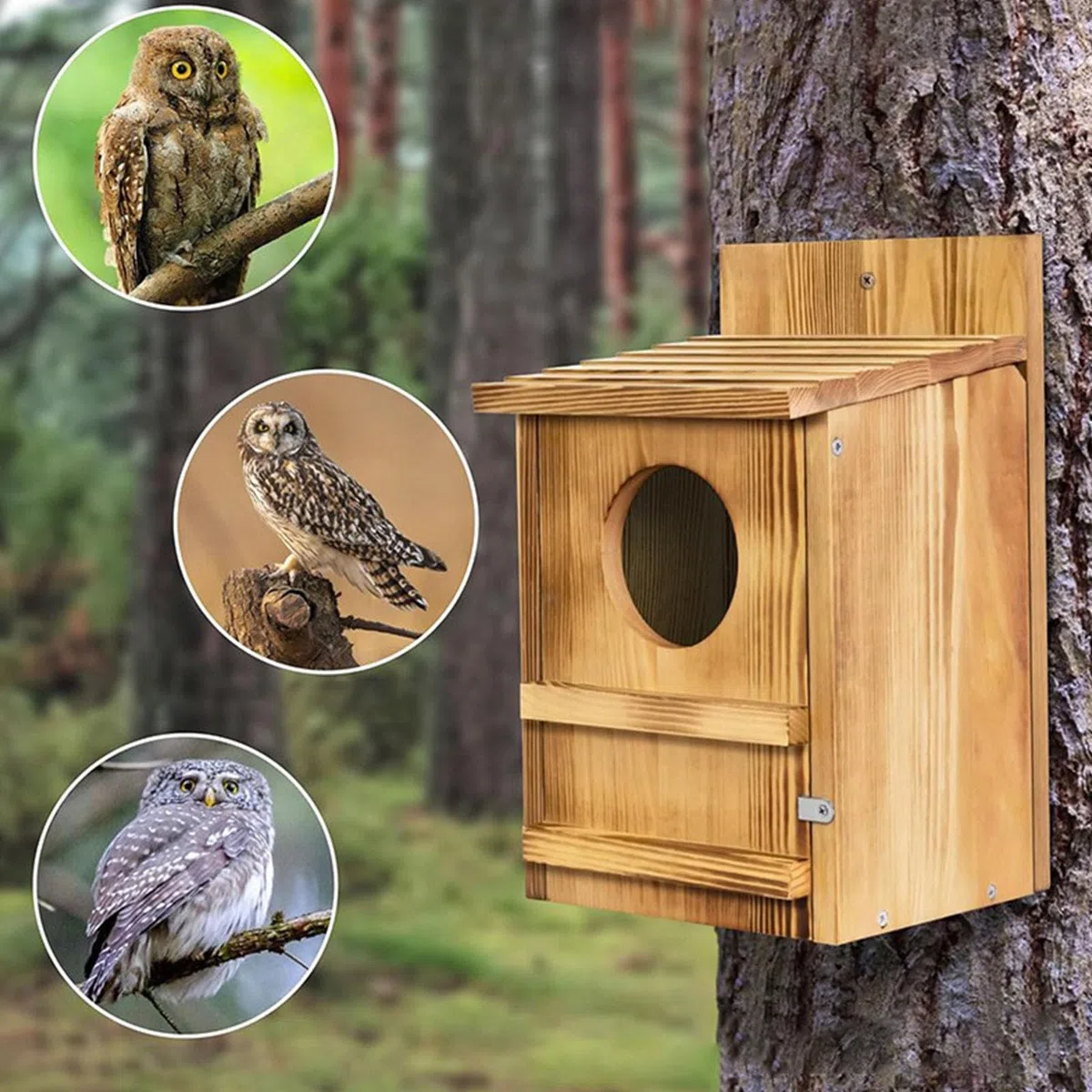 Mangiatoia per uccelli in legno con supporto per albero per decorazione da giardino all'aperto, casetta per gufi, per osservare gli uccelli selvatici
