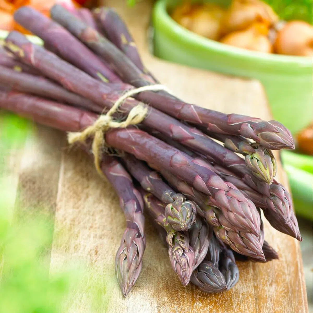 Piante di asparagi Mix - 10 piante frigo A+ - refrigerate a crescita rapida provenienti dall'Olanda - Resistenti & Perenni - Per la coltivazione in letti rialzati
