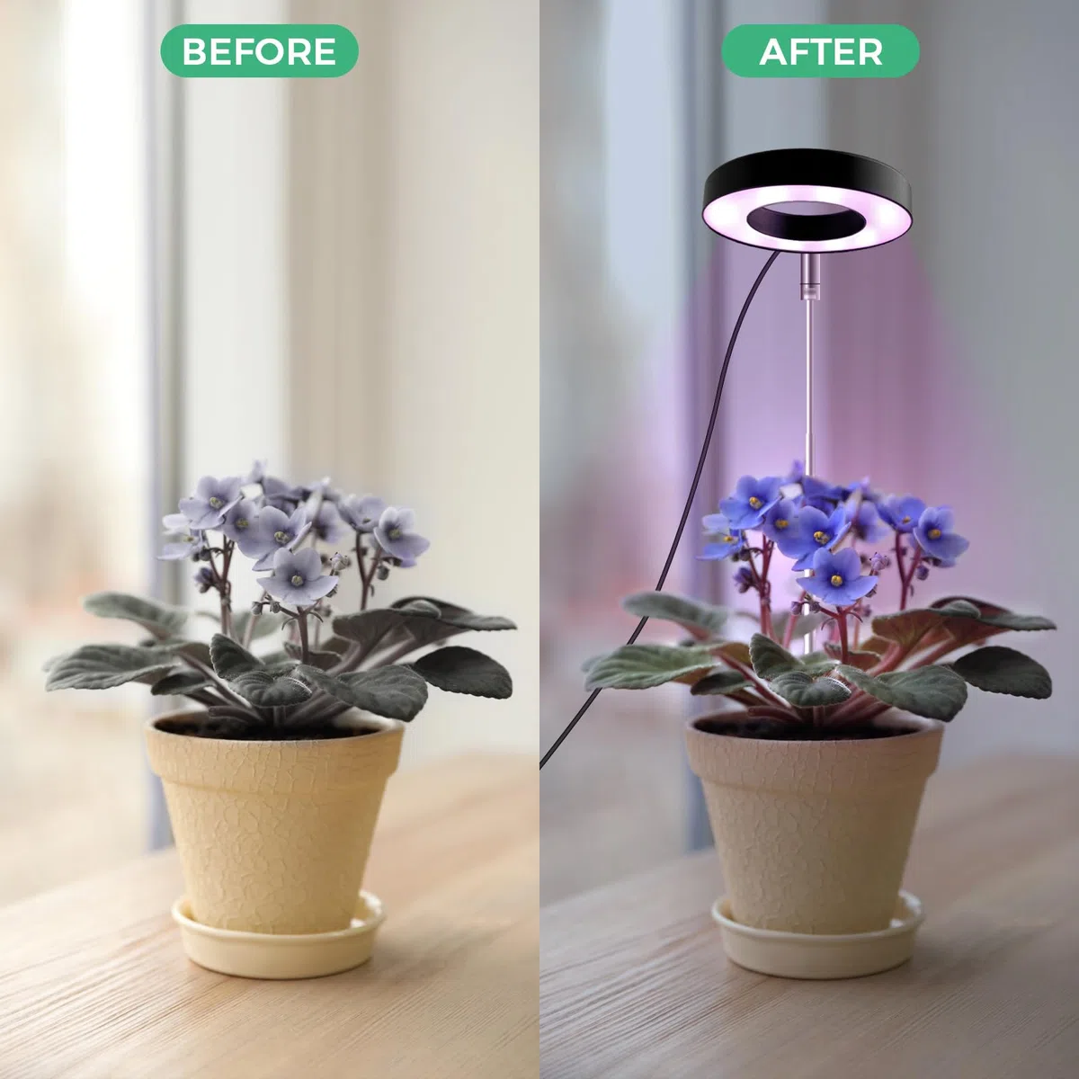 CNMTCOO Luce per piante a LED, spettro completo per piante da interno, altezza regolabile, con adattatore USB, 3 modalità di luce, timer di 3/9/12 ore