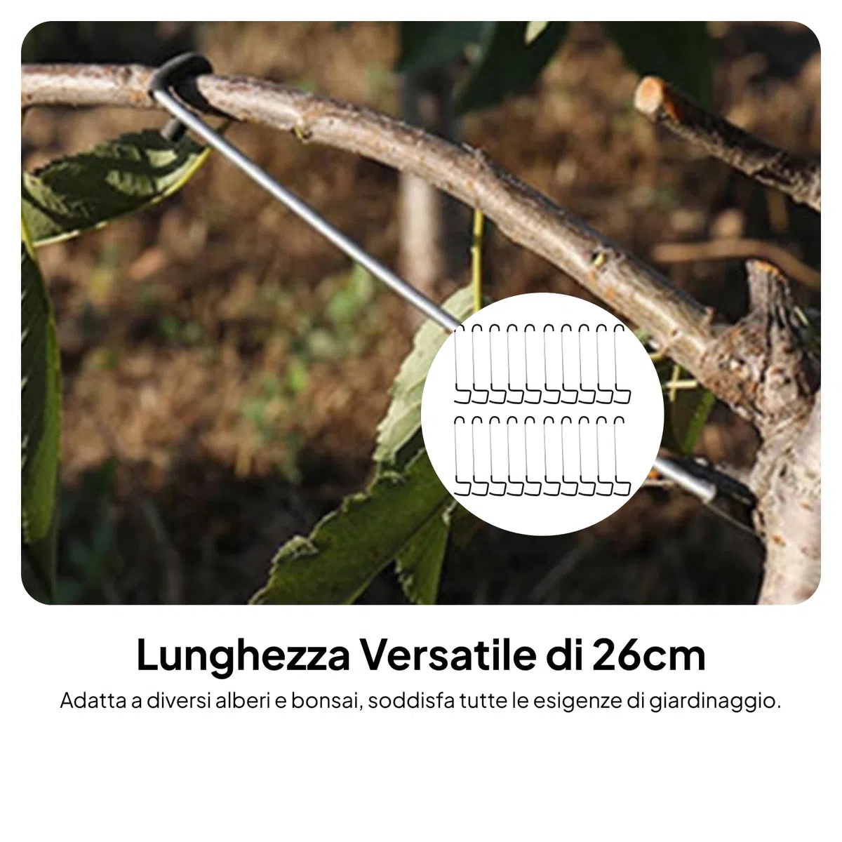Gralara 20x Divaricatori per Rami di Alberi da frutto Attrezzi per Modellare Il Giardinaggio Modellatori per Rami di Alberi da frutto per Piante in Vaso, 26 cm