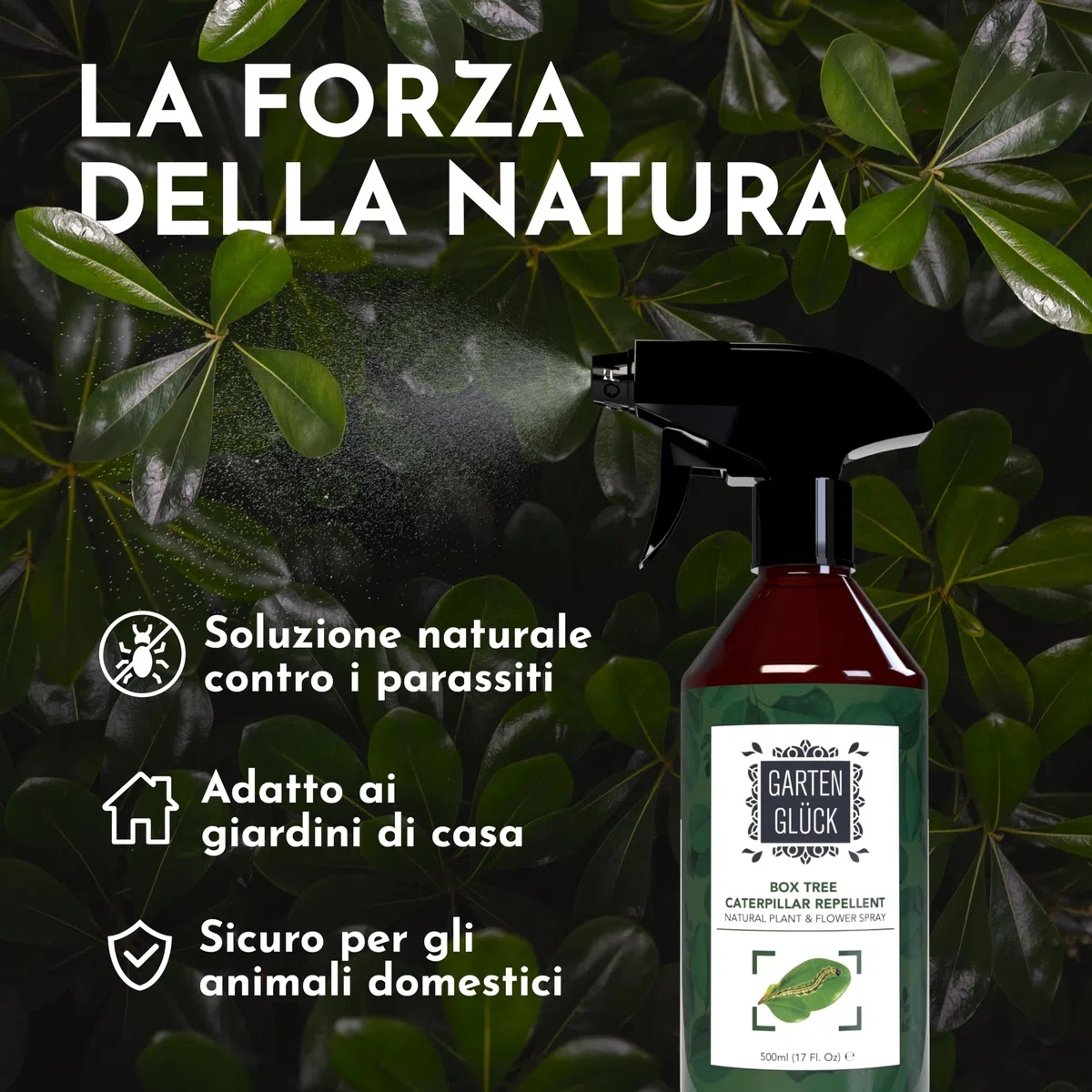 Spray Antiparassitario Piante -500ml- Contro Piralide del Bosso, Bruchi, Larve e Afidi - Protezione Naturale per Bosso, Siepi, Rose e Orto - Con Olio di Timo e Olio di Citronella