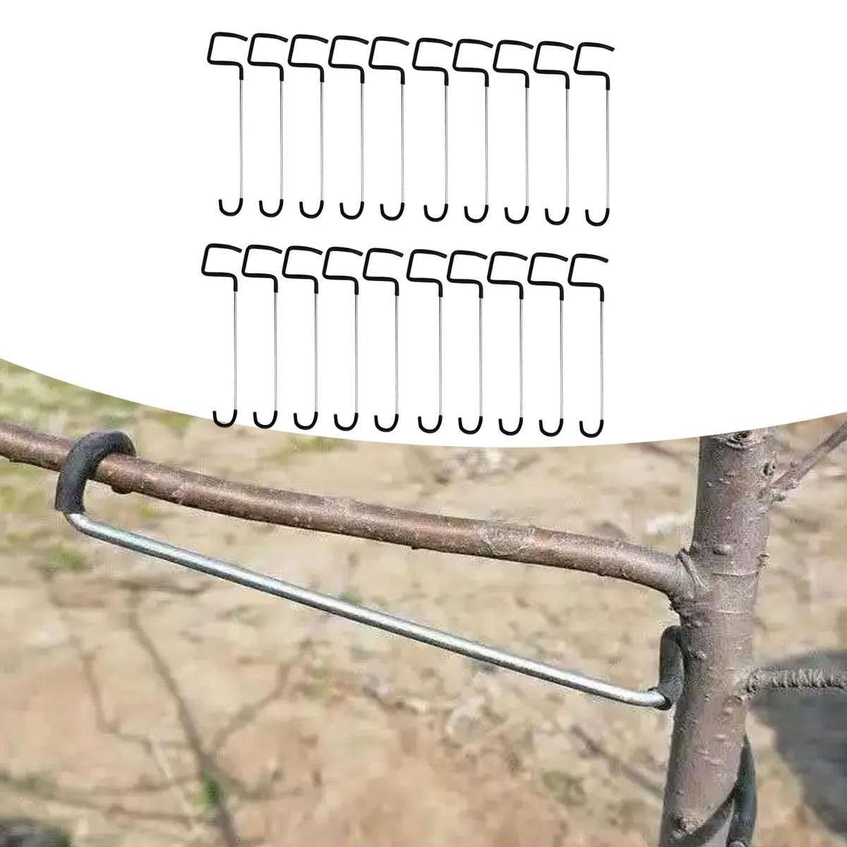 Gralara 20x Divaricatori per Rami di Alberi da frutto Attrezzi per Modellare Il Giardinaggio Modellatori per Rami di Alberi da frutto per Piante in Vaso, 26 cm
