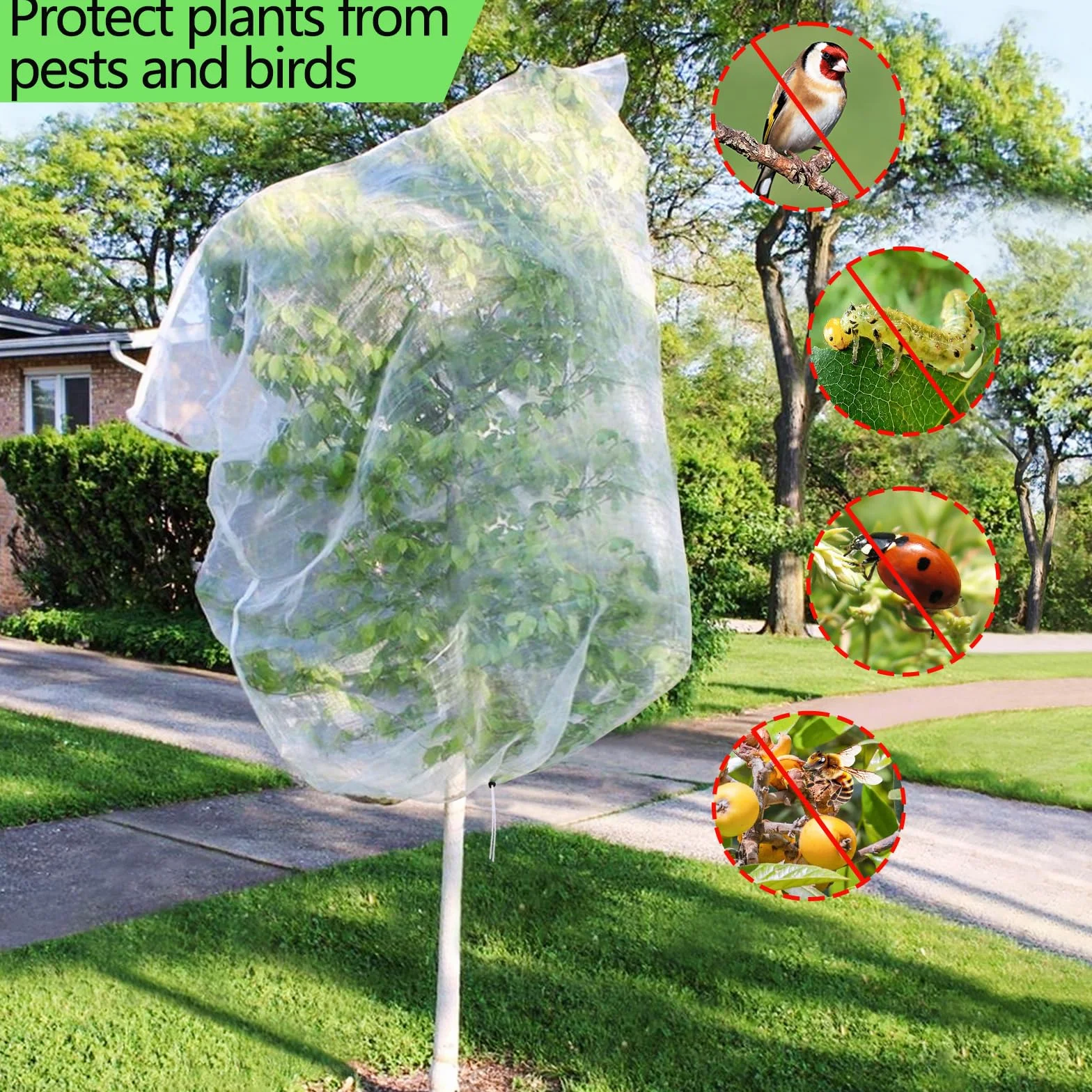 Rete per Alberi da Frutto, Borsa per Rete Protettiva 3x3m - Anti Uccelli e Insetti con Cordino e Cerniera Regolabile - Copertura Large Piante per Giardino/Esterni Maglia Fine
