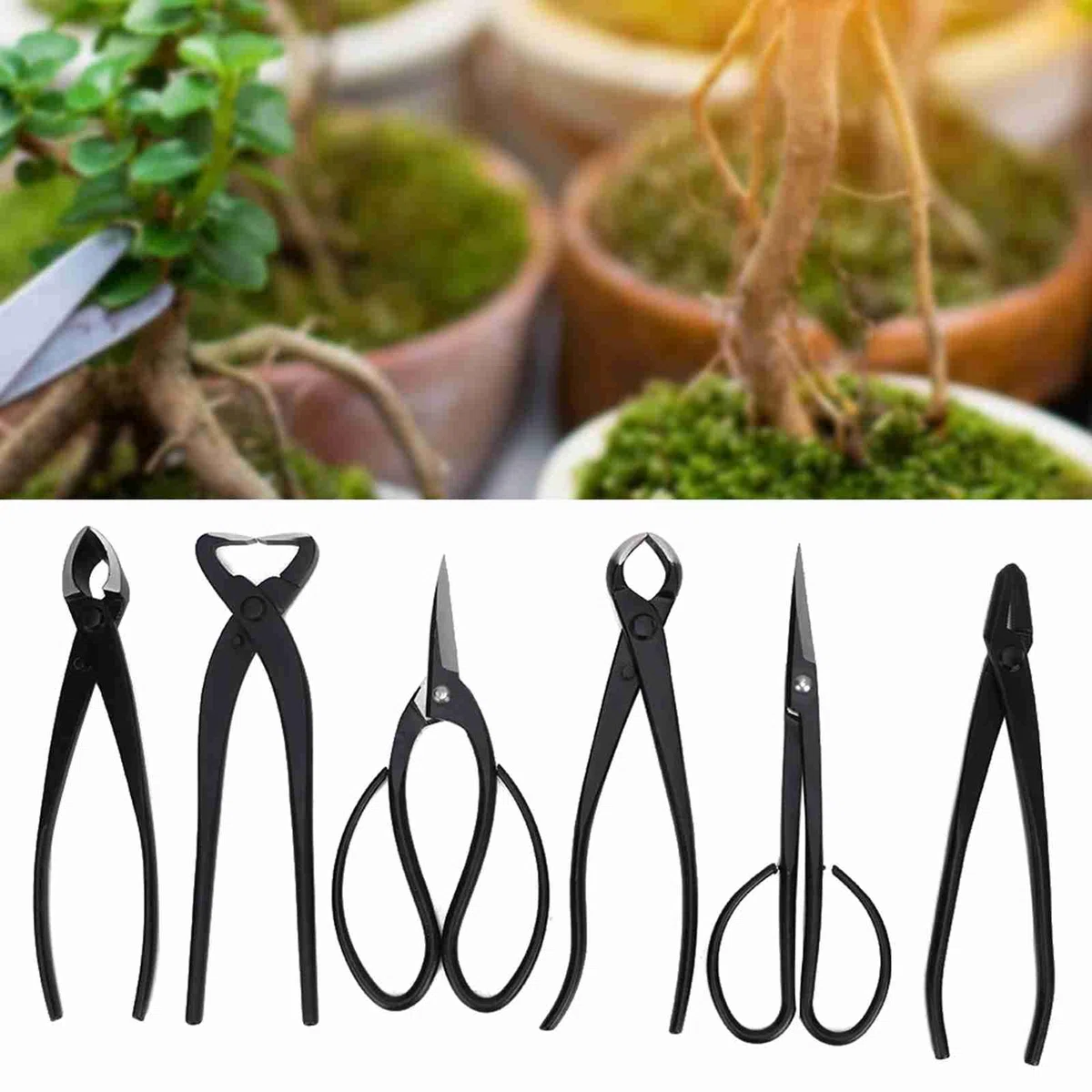 6 pezzi kit di strumenti Bonsai con borsa, forbici potabili e cesoie per alberi, piante, foglie e ramo, strumenti di giardinaggio in acciaio per la cura e la manutenzione bonsai