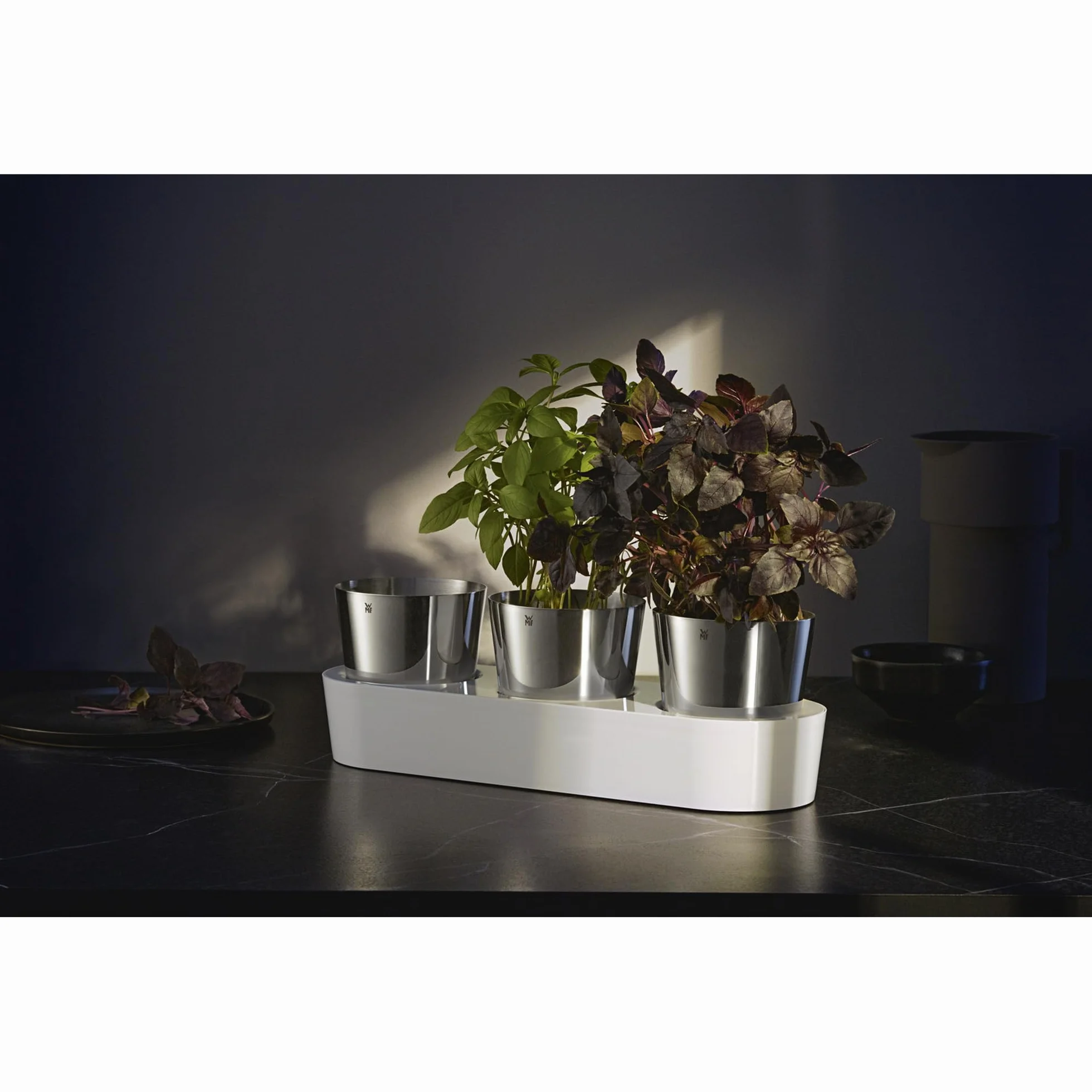 WMF Vaso per erbe gourmet con sistema di irrigazione in 3 parti, giardino delle erbe per la cucina, 36x 12,5x 12,5 cm, per erbe aromatiche fresche, bianco