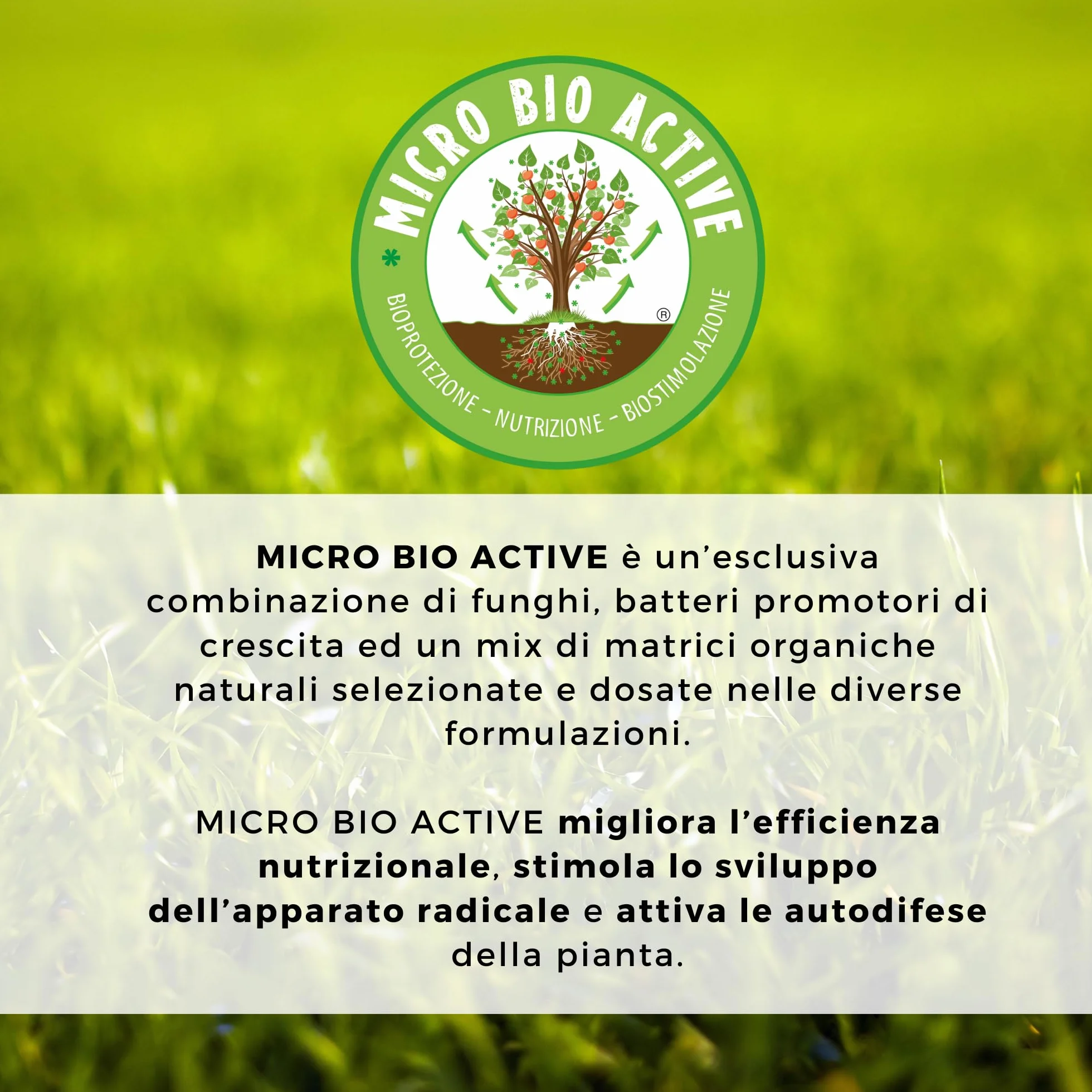 Nutrigenera - Tricomic Bio – Inoculo di funghi micorrizici, Beauveria bassiana, Metarhizium – Stimola l’espansione radicale – 1 Kg