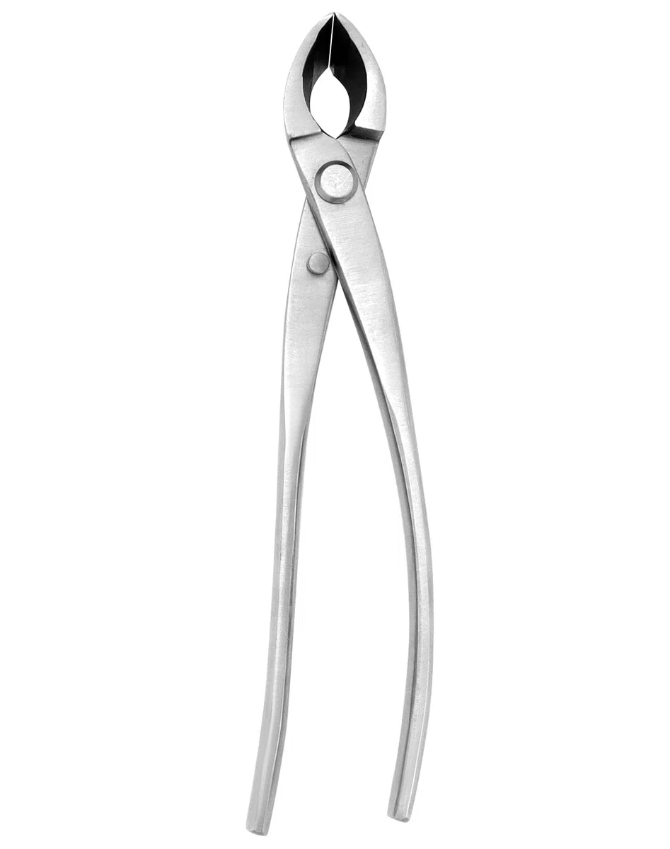 QWORK® Taglierina concava in Acciaio Inox - 21 cm - Strumento Bonsai per la potatura dei Rami dei Bonsai