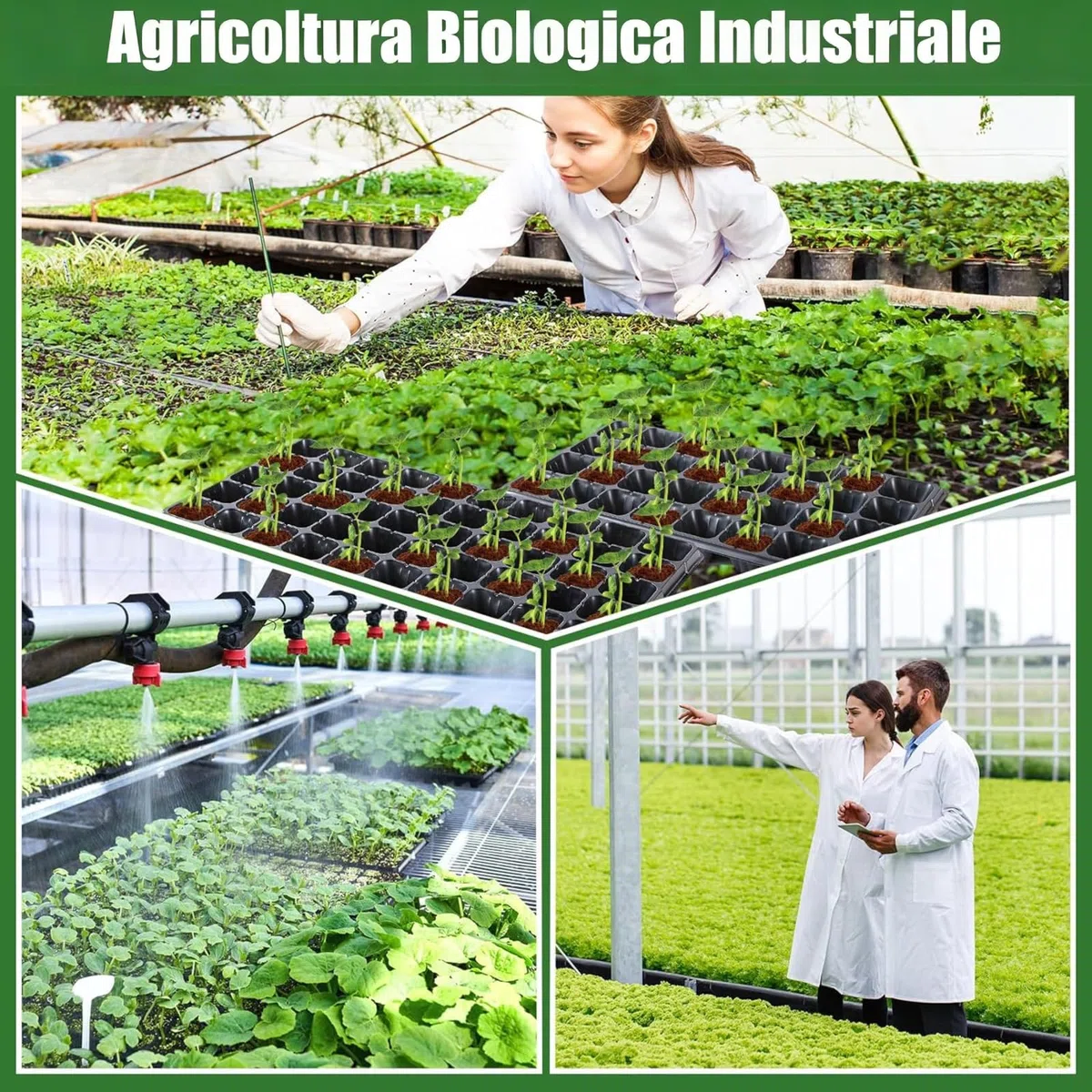 Baoblaze 12 Vassoi per Piantine da con Griglia e Foro di Drenaggio, Vassoio germinazione per Coltivazione Indoor, Vasetti per Semina per la Coltivazione di Broccoli, 72 Celle
