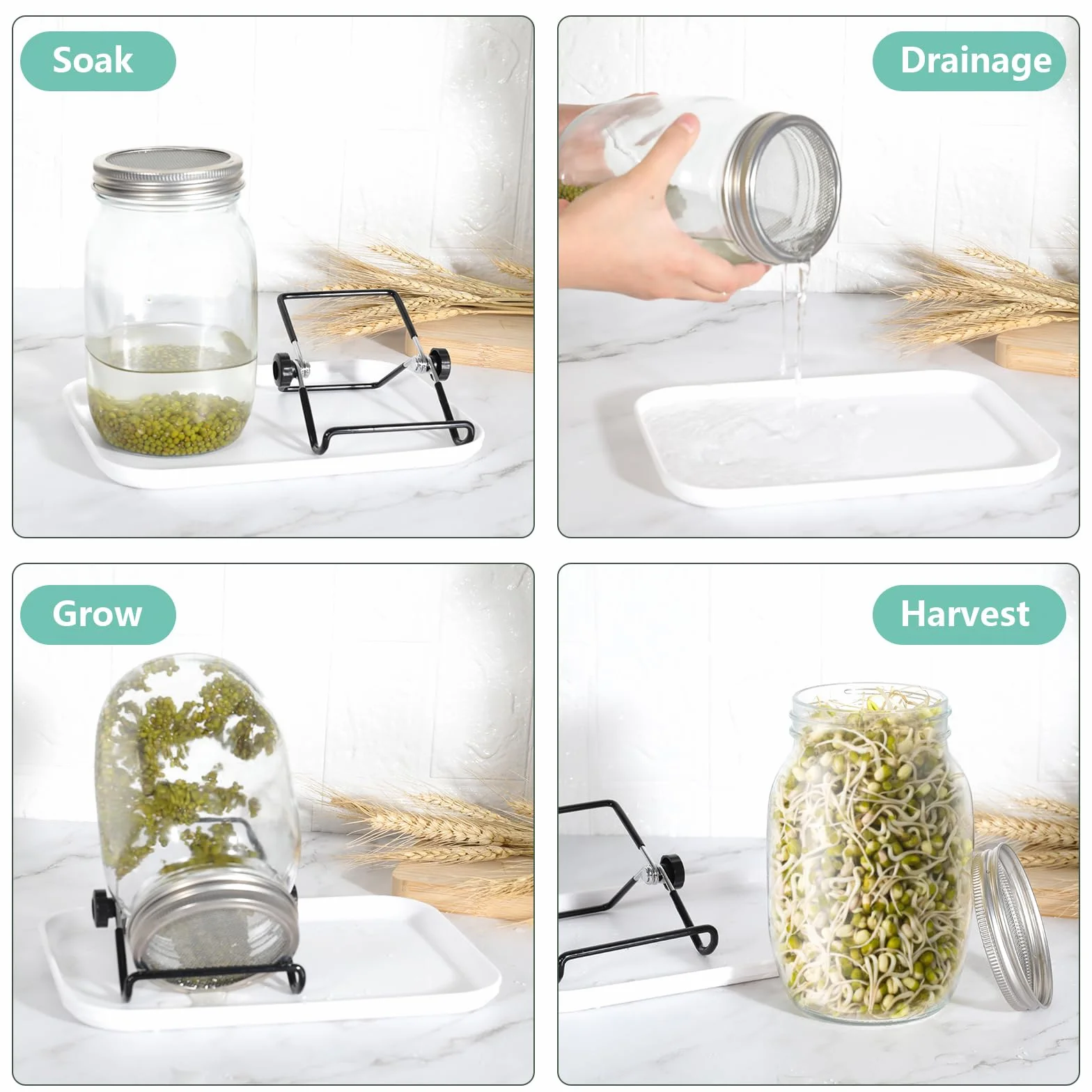 Cinnani Barattolo Germogliatore Set, Kit di Barattoli per Germogliamento di Semi, 2 1000ml Germogliatore in Vetro, 2 Coperture, 2 Supporti e 1 Vassoio, 2 Manicotti Oscuranti, 1 Spazzola