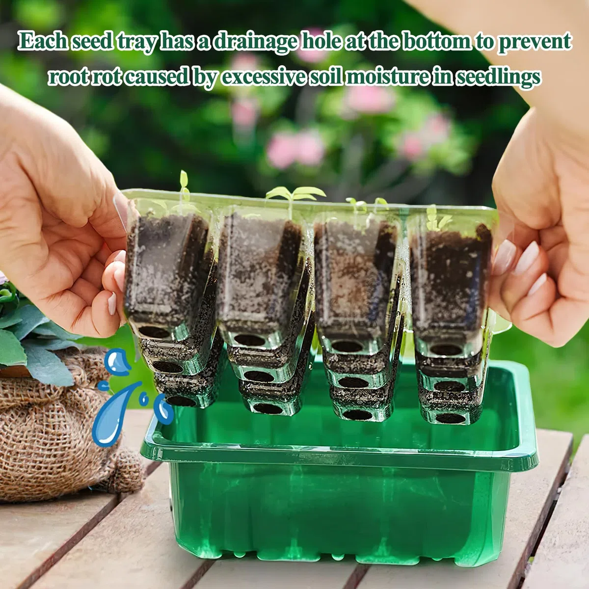 ZoneYan Vassoi per Semi 72 Celle Propagator Growing, Mini Serra per Piantine con Cupole Ventilate per Semina Germinazione di Piante in Crescita