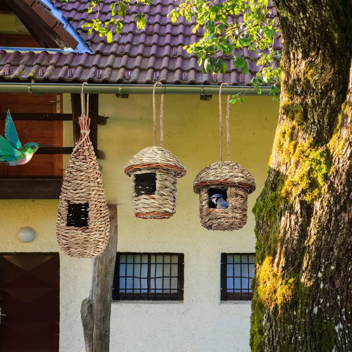 3 pezzi per casetta per uccelli, per appendere l'erba, per uccelli selvatici, per esterni, per nidificare gli uccelli, per piccoli come colibrì Robin passero
