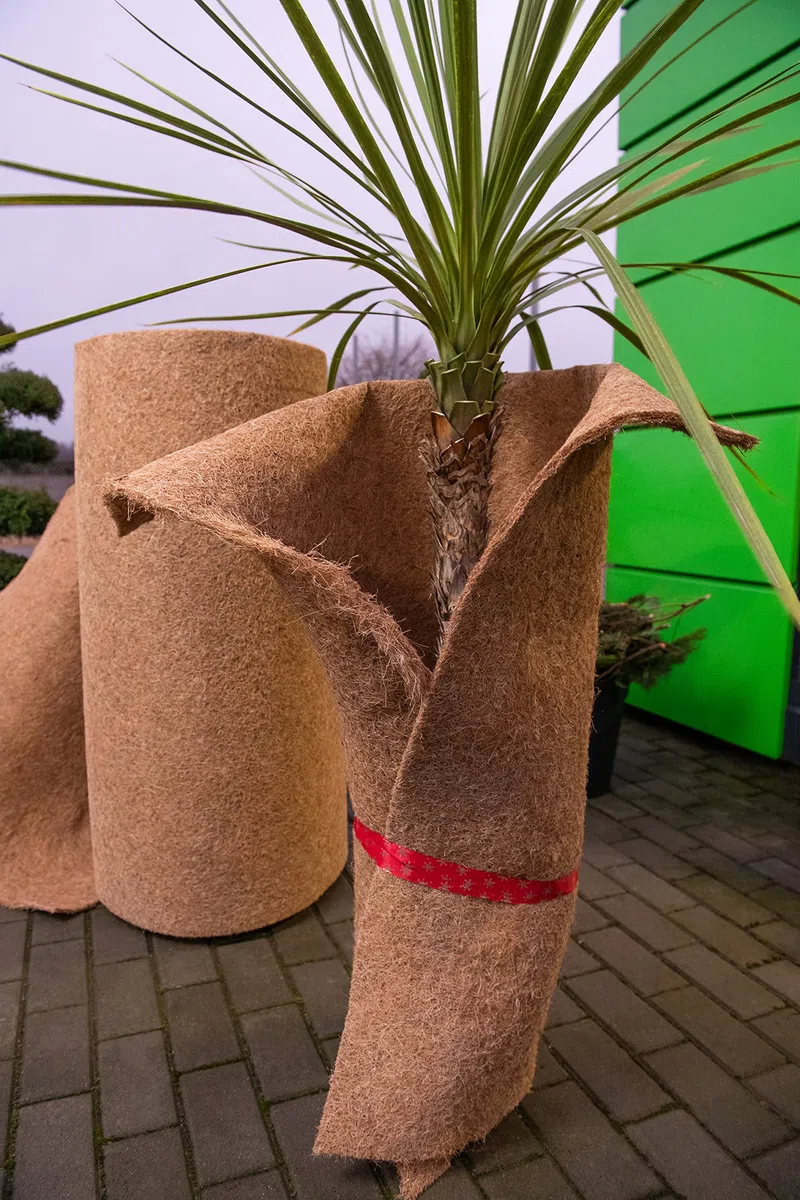 MC.Sammler Tappetino di Cocco per Protezione Invernale Piante, Palme - al Metro - 25 cm / 50 cm / 100 cm (Larghezza) - Protezione dal Freddo - 100% Biologico - Rotolo in Fibra di Cocco - 100cm x 1m